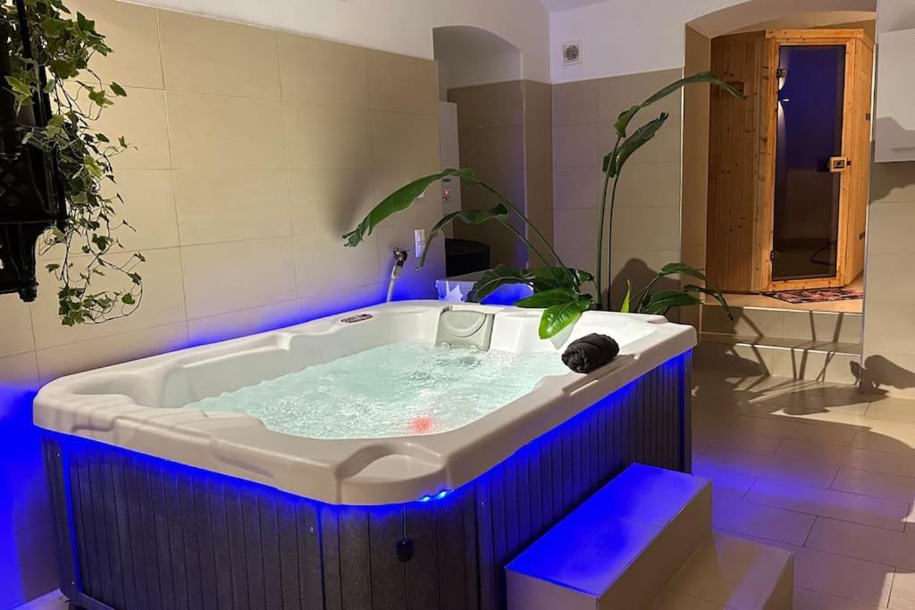 Apartament African Paradise With Jacuzzi & Sauna