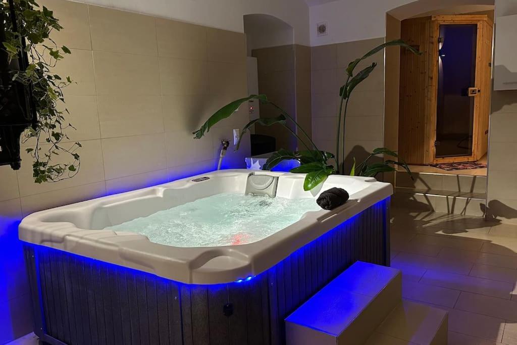 Apartament African Paradise With Jacuzzi & Sauna *