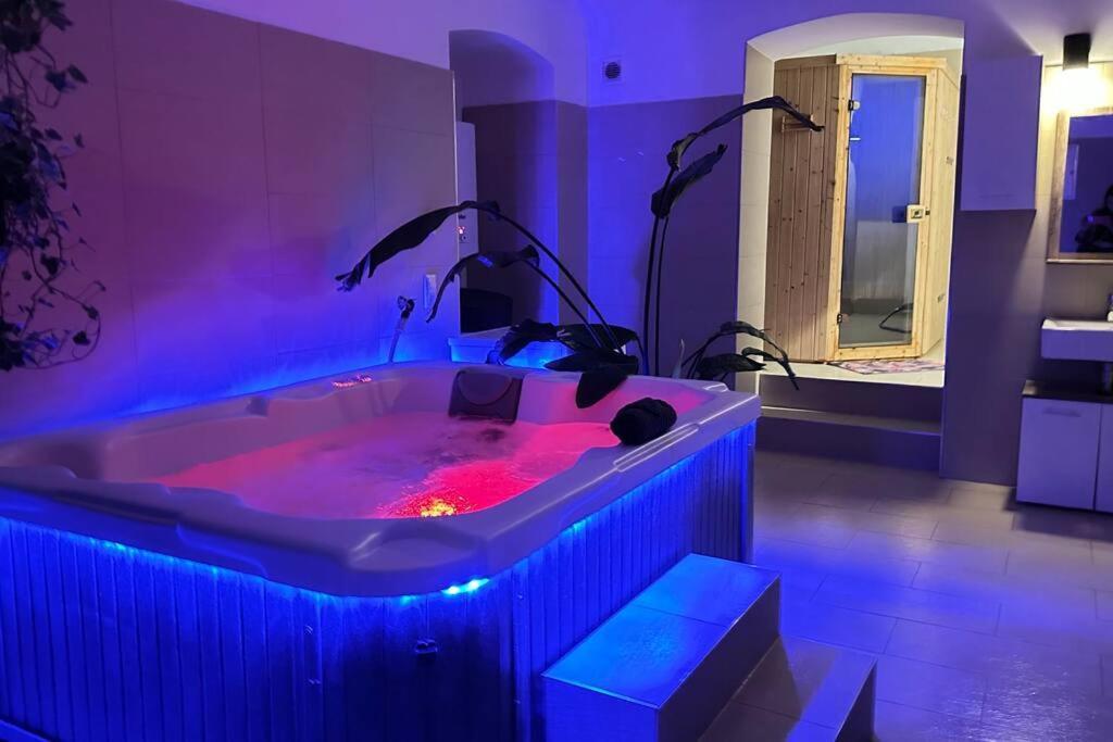 Apartament African Paradise With Jacuzzi & Sauna Wiedeń